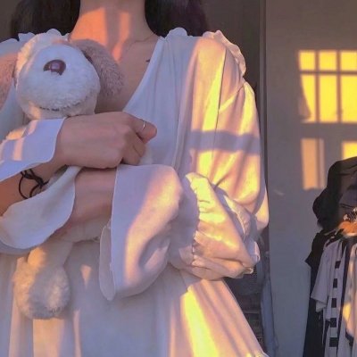 棉尾兔